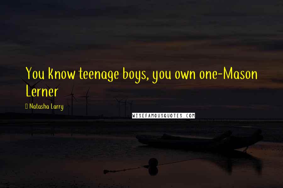 Natasha Larry Quotes: You know teenage boys, you own one-Mason Lerner
