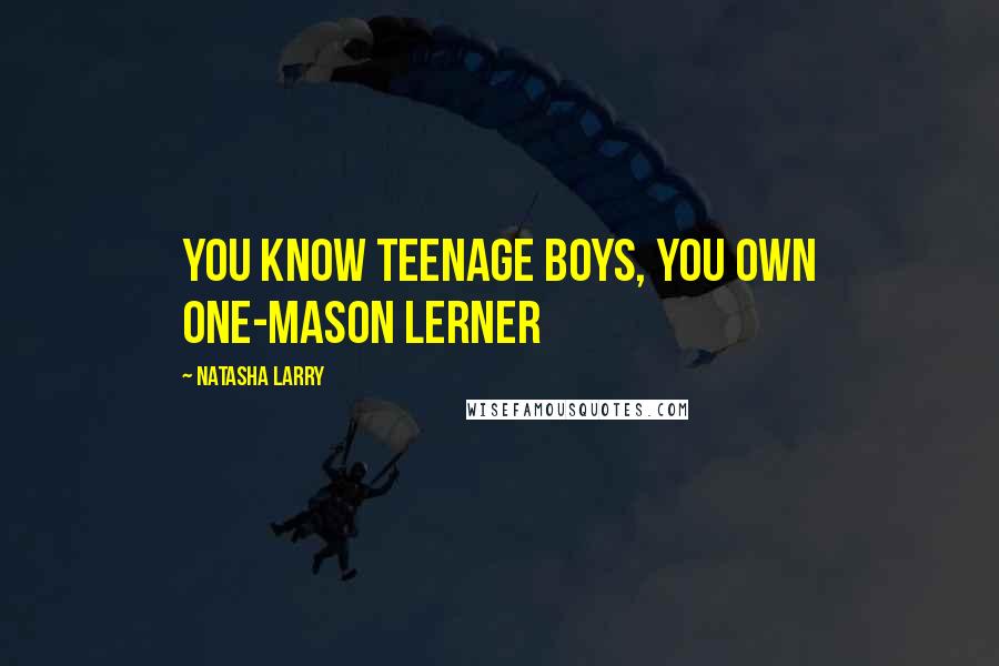 Natasha Larry Quotes: You know teenage boys, you own one-Mason Lerner