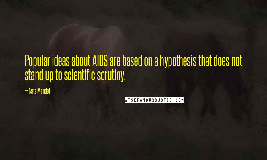 Nate Mendel Quotes: Popular ideas about AIDS are based on a hypothesis that does not stand up to scientific scrutiny.