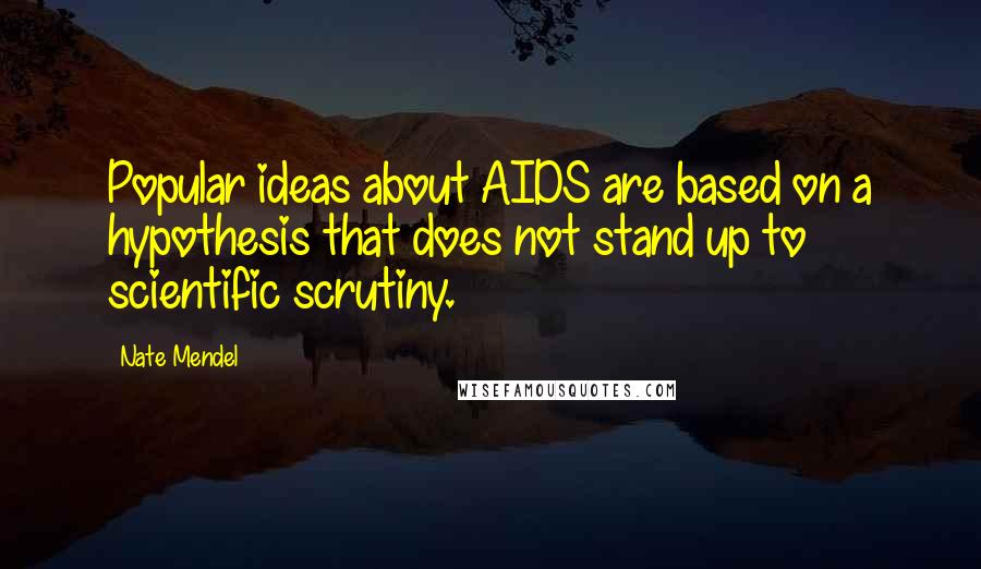 Nate Mendel Quotes: Popular ideas about AIDS are based on a hypothesis that does not stand up to scientific scrutiny.