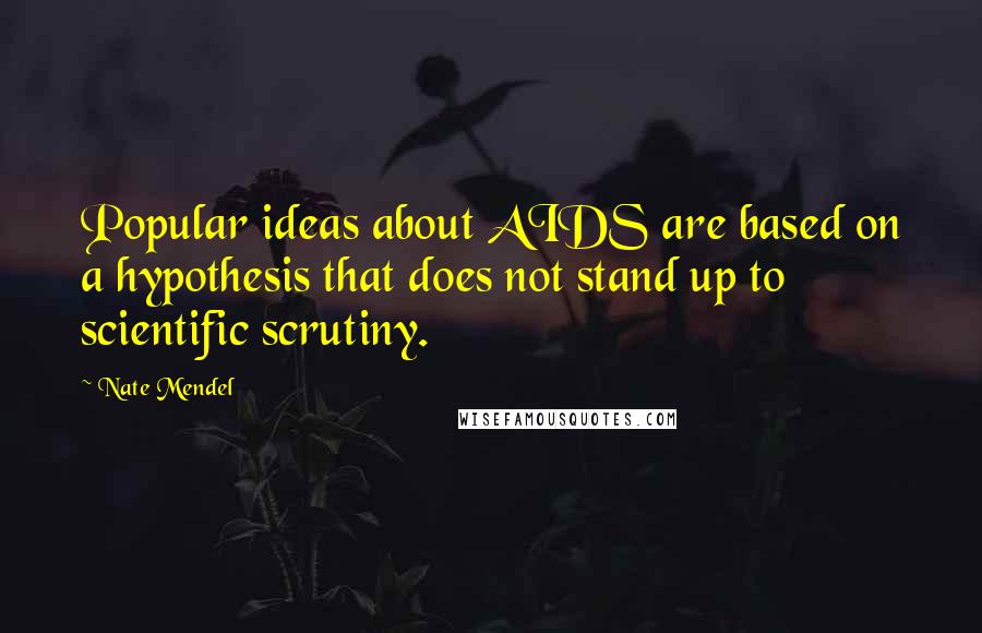 Nate Mendel Quotes: Popular ideas about AIDS are based on a hypothesis that does not stand up to scientific scrutiny.