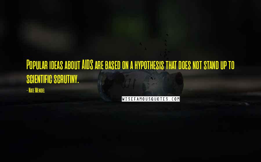 Nate Mendel Quotes: Popular ideas about AIDS are based on a hypothesis that does not stand up to scientific scrutiny.