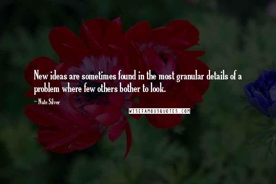 Nate Silver Quotes: New ideas are sometimes found in the most granular details of a problem where few others bother to look.