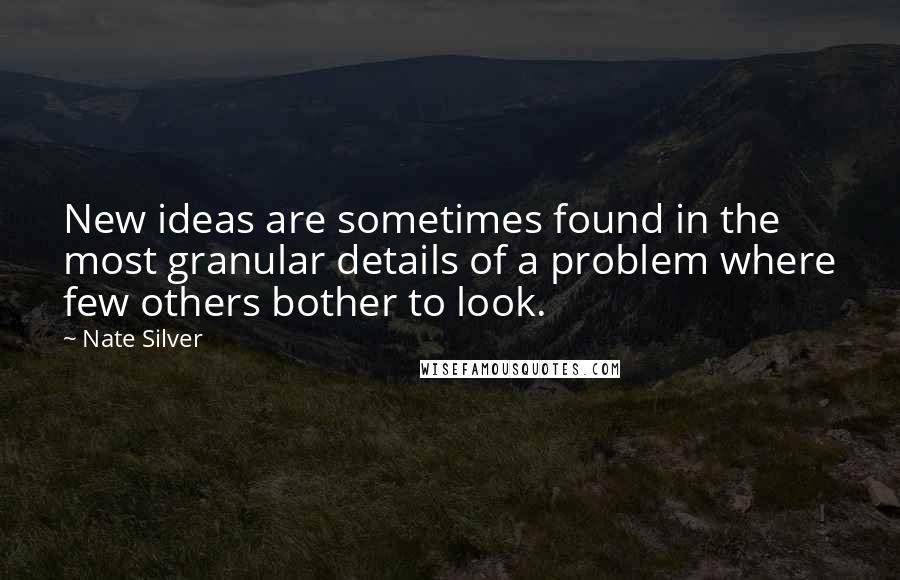Nate Silver Quotes: New ideas are sometimes found in the most granular details of a problem where few others bother to look.