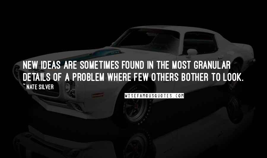 Nate Silver Quotes: New ideas are sometimes found in the most granular details of a problem where few others bother to look.