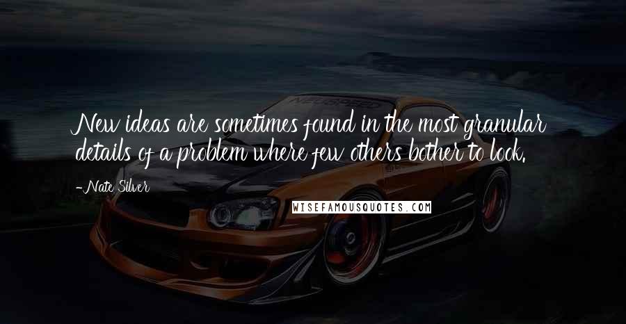 Nate Silver Quotes: New ideas are sometimes found in the most granular details of a problem where few others bother to look.