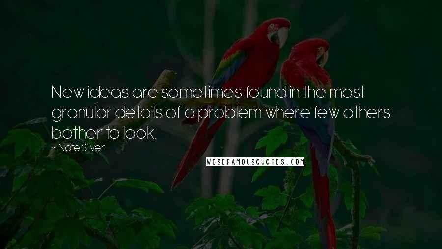 Nate Silver Quotes: New ideas are sometimes found in the most granular details of a problem where few others bother to look.