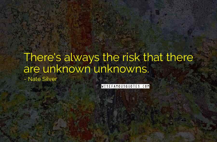 Nate Silver Quotes: There's always the risk that there are unknown unknowns.