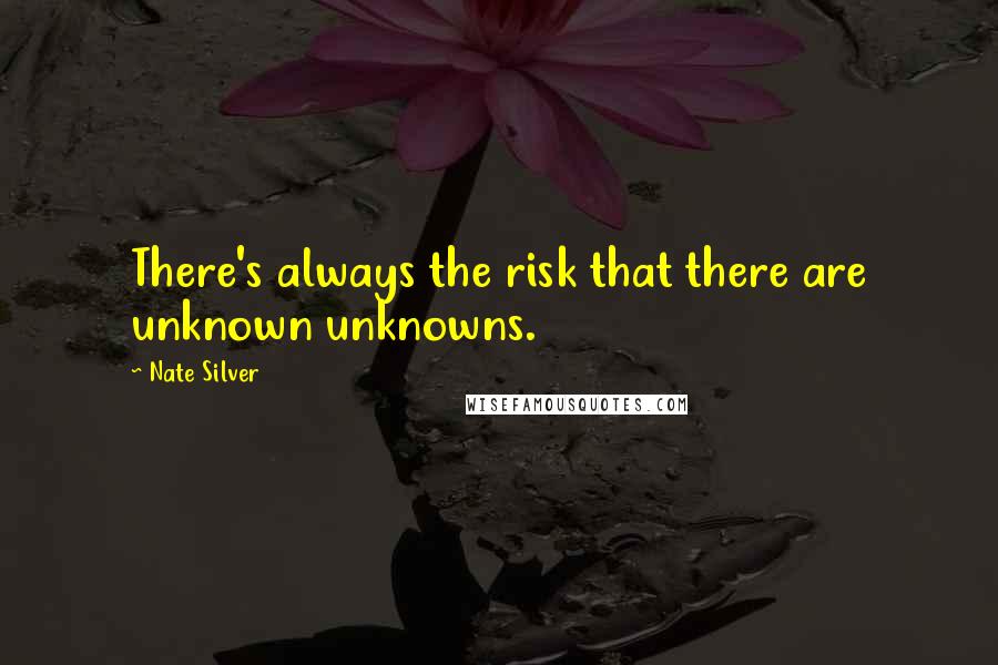 Nate Silver Quotes: There's always the risk that there are unknown unknowns.