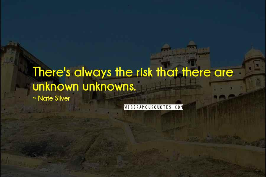 Nate Silver Quotes: There's always the risk that there are unknown unknowns.