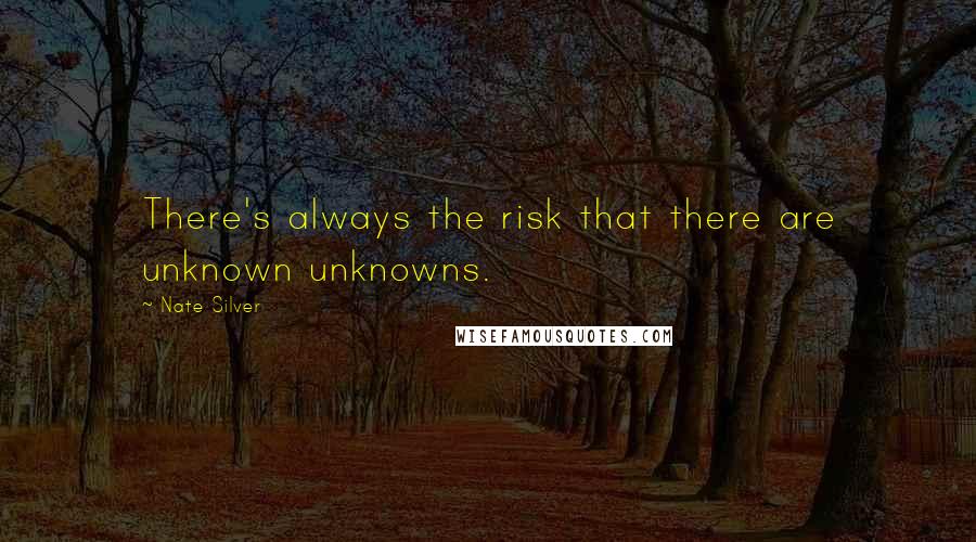 Nate Silver Quotes: There's always the risk that there are unknown unknowns.