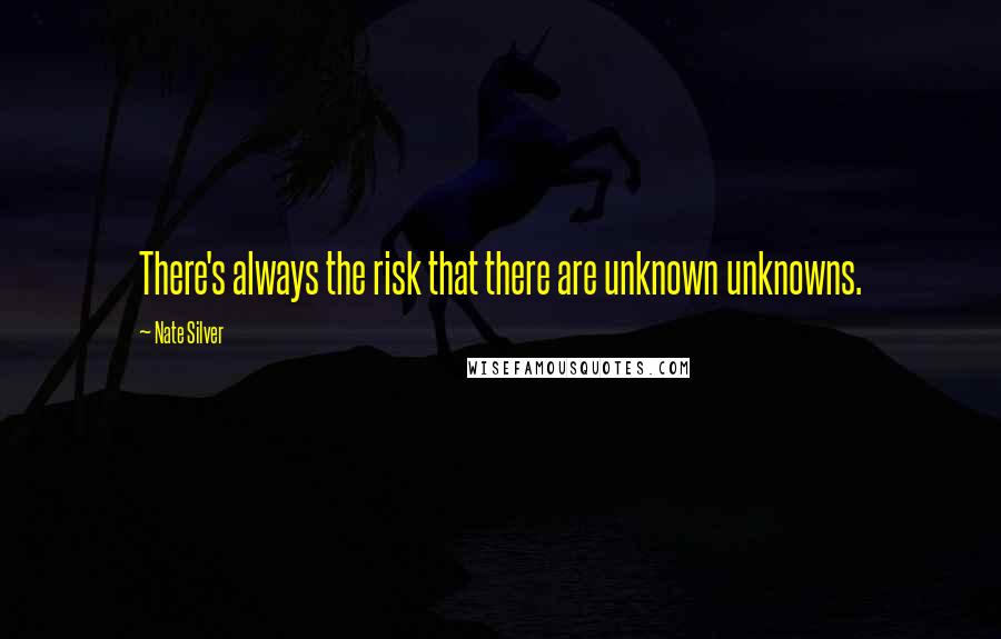 Nate Silver Quotes: There's always the risk that there are unknown unknowns.