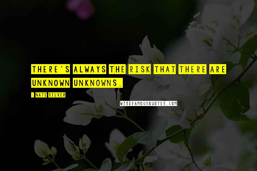 Nate Silver Quotes: There's always the risk that there are unknown unknowns.