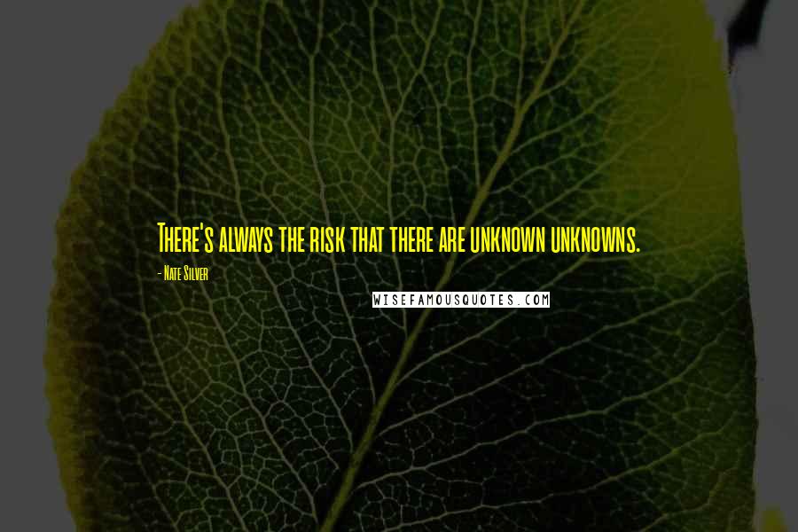 Nate Silver Quotes: There's always the risk that there are unknown unknowns.