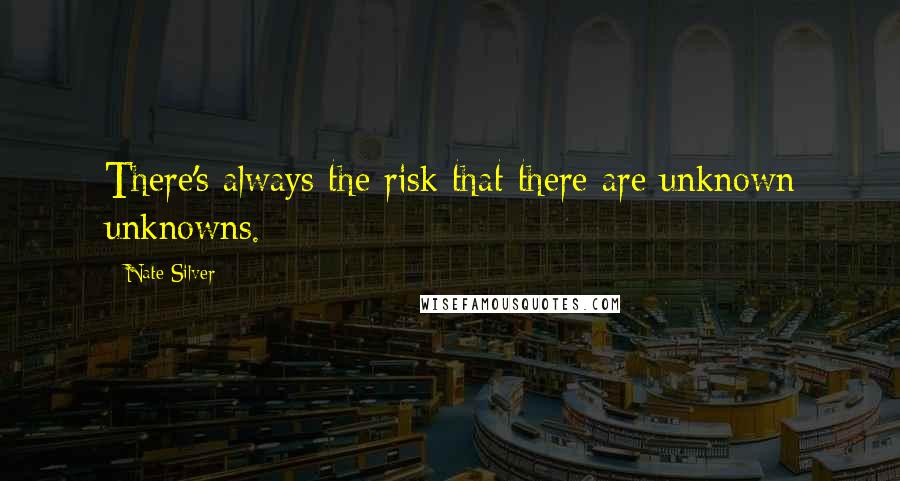 Nate Silver Quotes: There's always the risk that there are unknown unknowns.