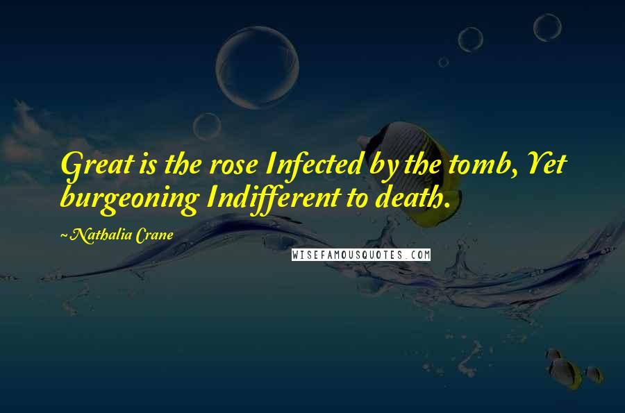 Nathalia Crane Quotes: Great is the rose Infected by the tomb, Yet burgeoning Indifferent to death.