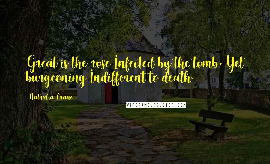 Nathalia Crane Quotes: Great is the rose Infected by the tomb, Yet burgeoning Indifferent to death.