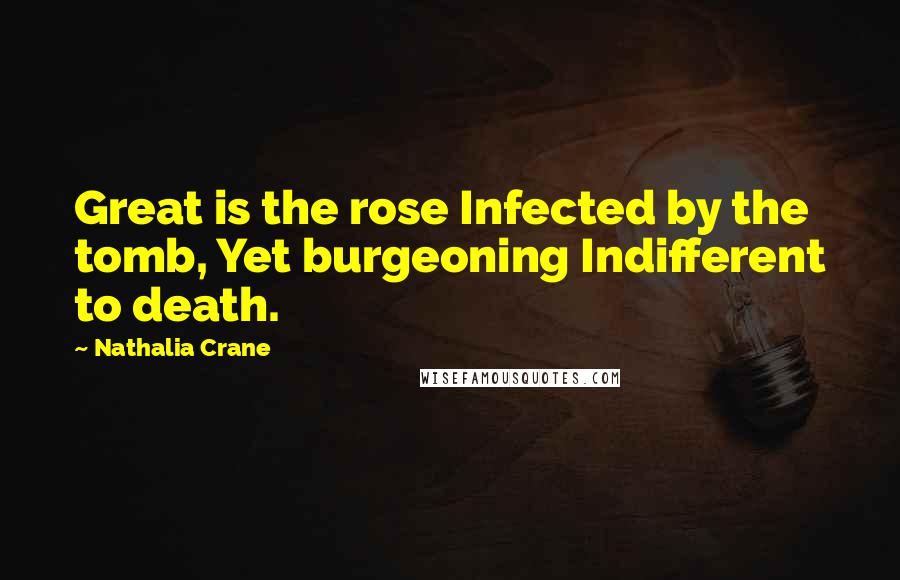 Nathalia Crane Quotes: Great is the rose Infected by the tomb, Yet burgeoning Indifferent to death.