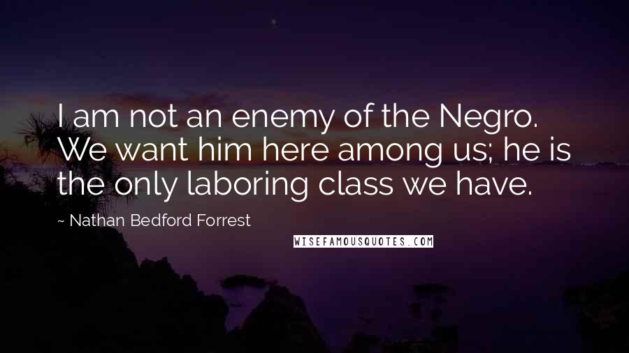 Nathan Bedford Forrest Quotes: I am not an enemy of the Negro. We want him here among us; he is the only laboring class we have.