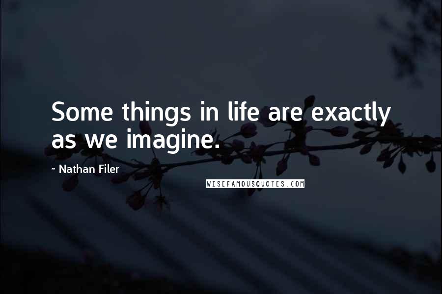 Nathan Filer Quotes: Some things in life are exactly as we imagine.