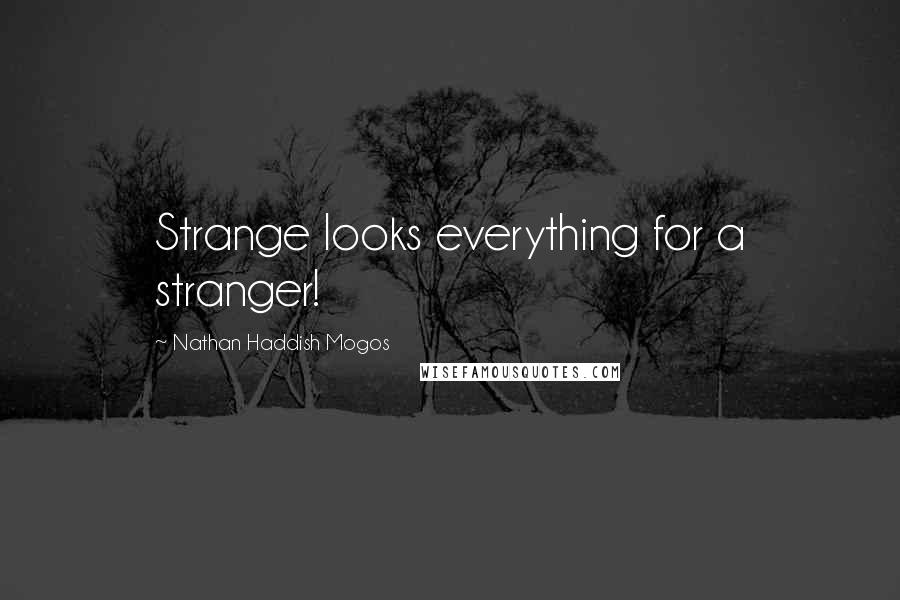 Nathan Haddish Mogos Quotes: Strange looks everything for a stranger!