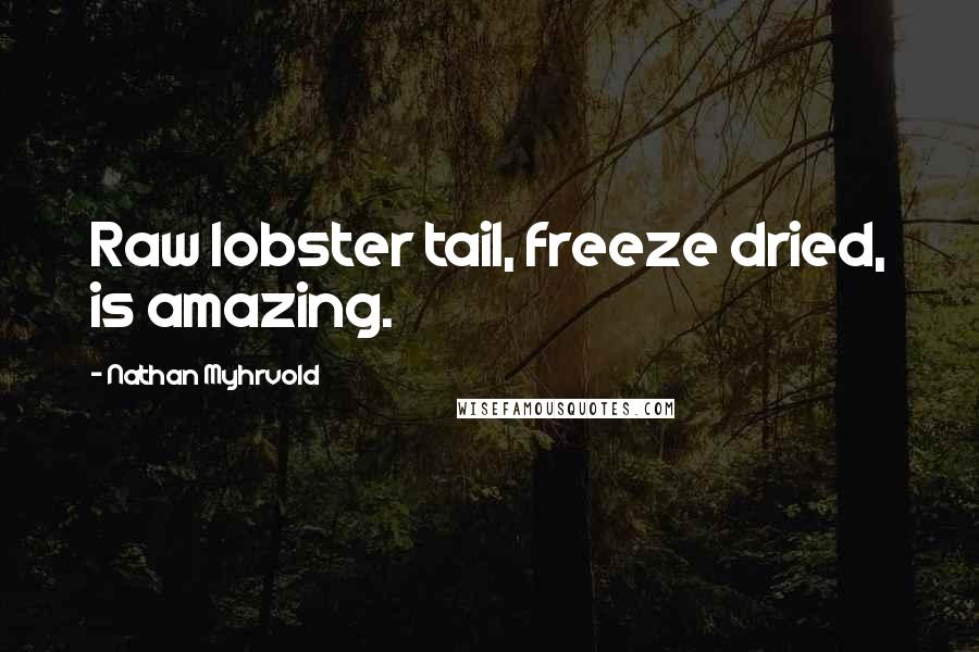 Nathan Myhrvold Quotes: Raw lobster tail, freeze dried, is amazing.