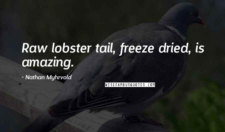 Nathan Myhrvold Quotes: Raw lobster tail, freeze dried, is amazing.