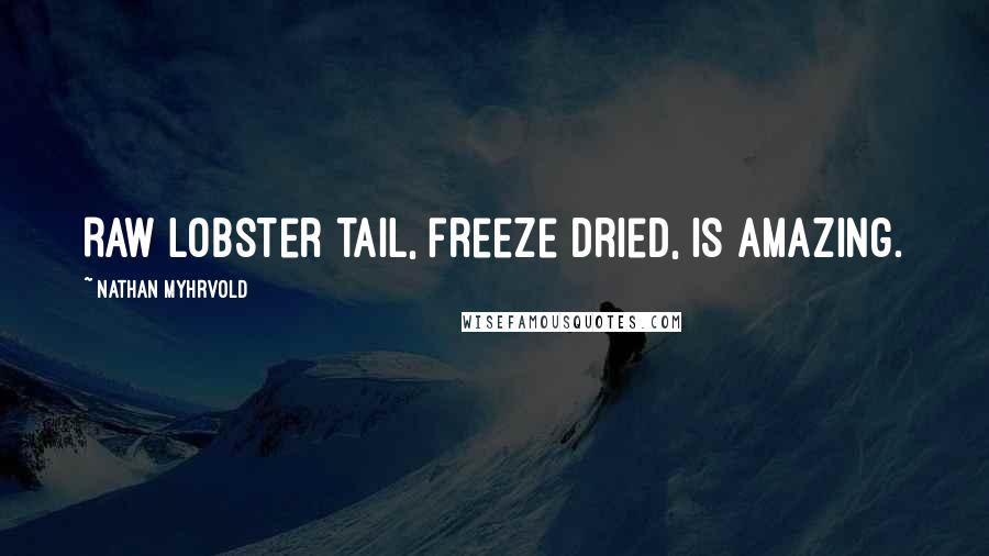 Nathan Myhrvold Quotes: Raw lobster tail, freeze dried, is amazing.