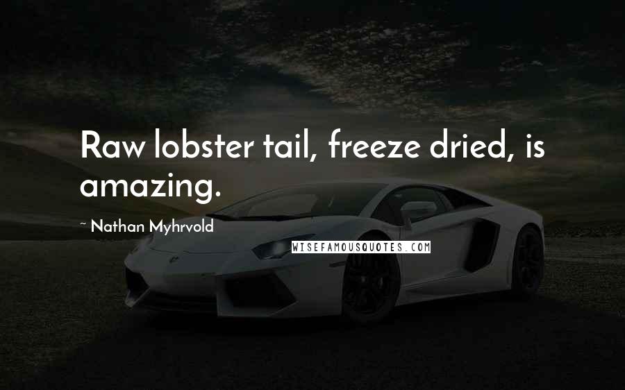 Nathan Myhrvold Quotes: Raw lobster tail, freeze dried, is amazing.
