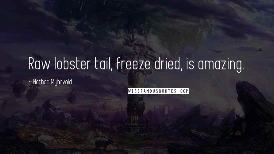 Nathan Myhrvold Quotes: Raw lobster tail, freeze dried, is amazing.
