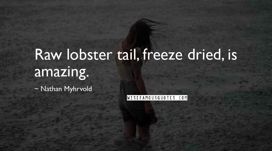 Nathan Myhrvold Quotes: Raw lobster tail, freeze dried, is amazing.
