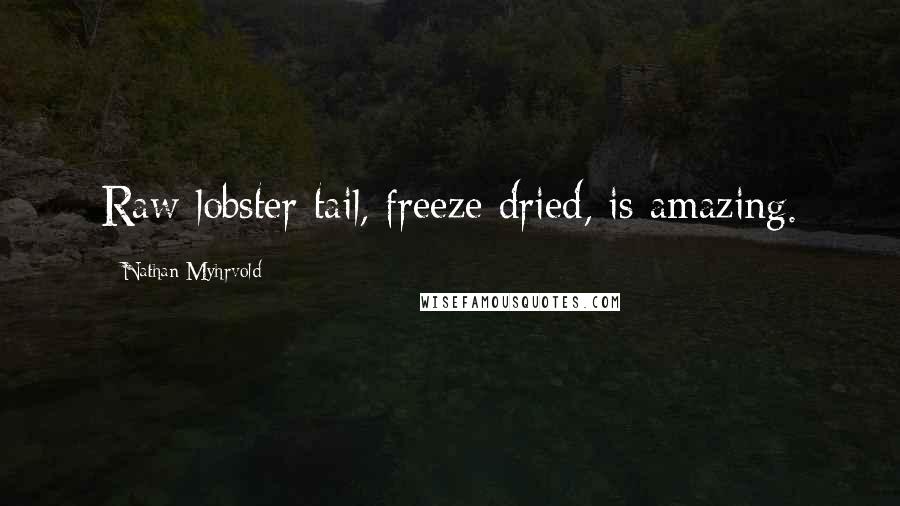 Nathan Myhrvold Quotes: Raw lobster tail, freeze dried, is amazing.