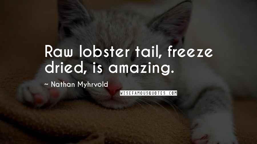 Nathan Myhrvold Quotes: Raw lobster tail, freeze dried, is amazing.