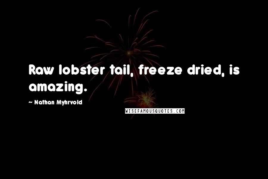 Nathan Myhrvold Quotes: Raw lobster tail, freeze dried, is amazing.