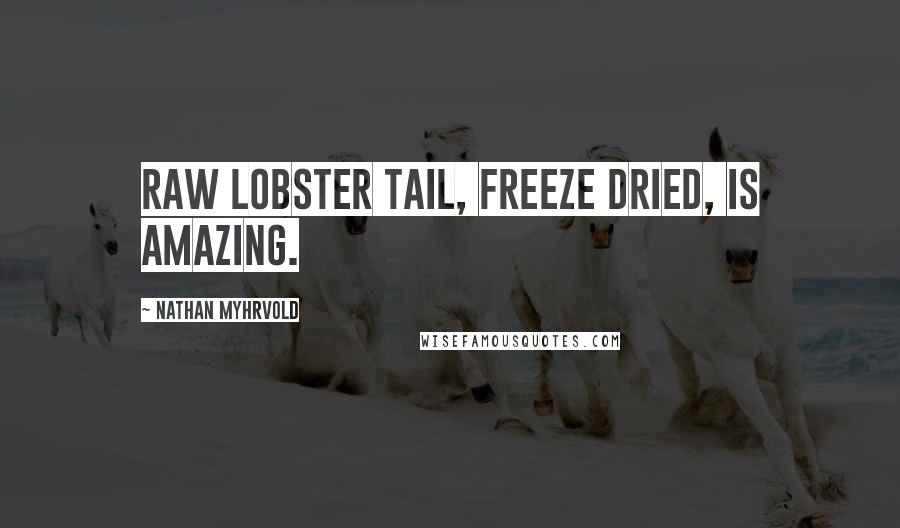 Nathan Myhrvold Quotes: Raw lobster tail, freeze dried, is amazing.