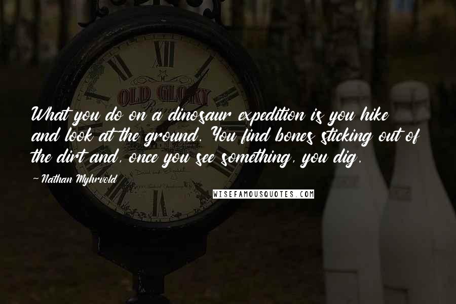 Nathan Myhrvold Quotes: What you do on a dinosaur expedition is you hike and look at the ground. You find bones sticking out of the dirt and, once you see something, you dig.