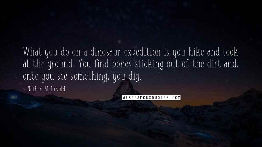 Nathan Myhrvold Quotes: What you do on a dinosaur expedition is you hike and look at the ground. You find bones sticking out of the dirt and, once you see something, you dig.