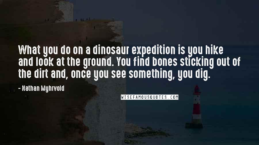 Nathan Myhrvold Quotes: What you do on a dinosaur expedition is you hike and look at the ground. You find bones sticking out of the dirt and, once you see something, you dig.