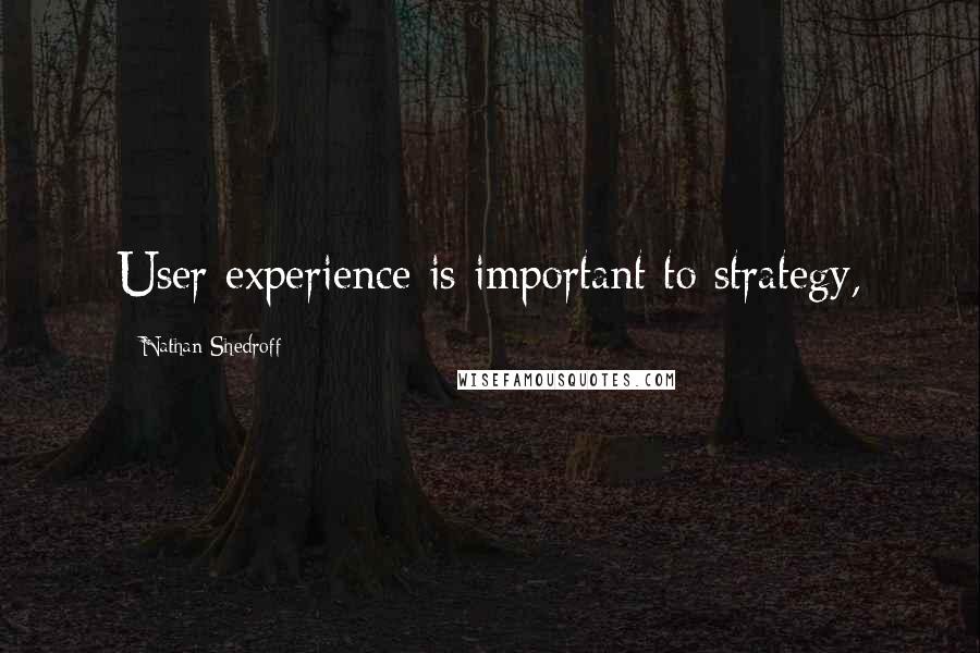 Nathan Shedroff Quotes: User experience is important to strategy,