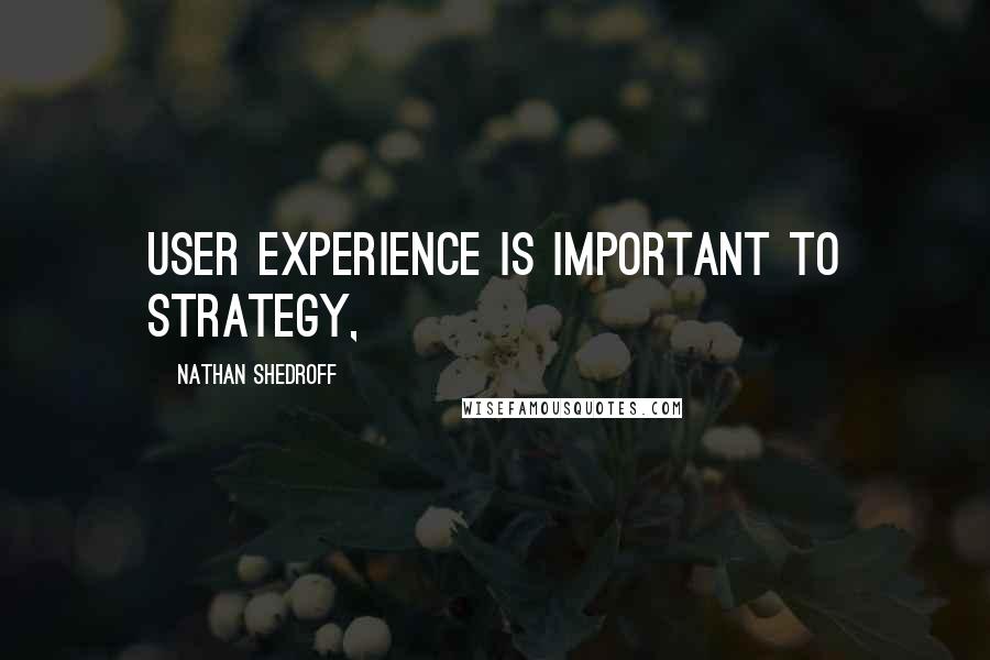 Nathan Shedroff Quotes: User experience is important to strategy,