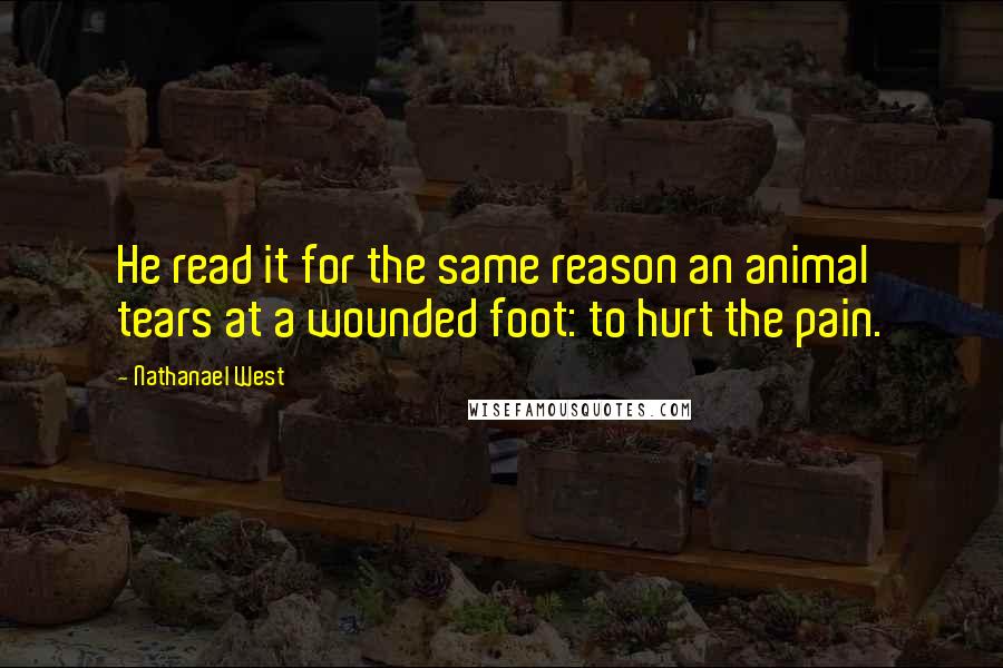 Nathanael West Quotes: He read it for the same reason an animal tears at a wounded foot: to hurt the pain.