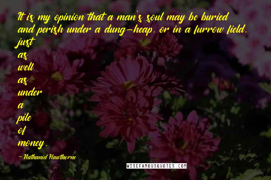 Nathaniel Hawthorne Quotes: It is my opinion that a man's soul may be buried and perish under a dung-heap, or in a furrow field, just as well as under a pile of money.