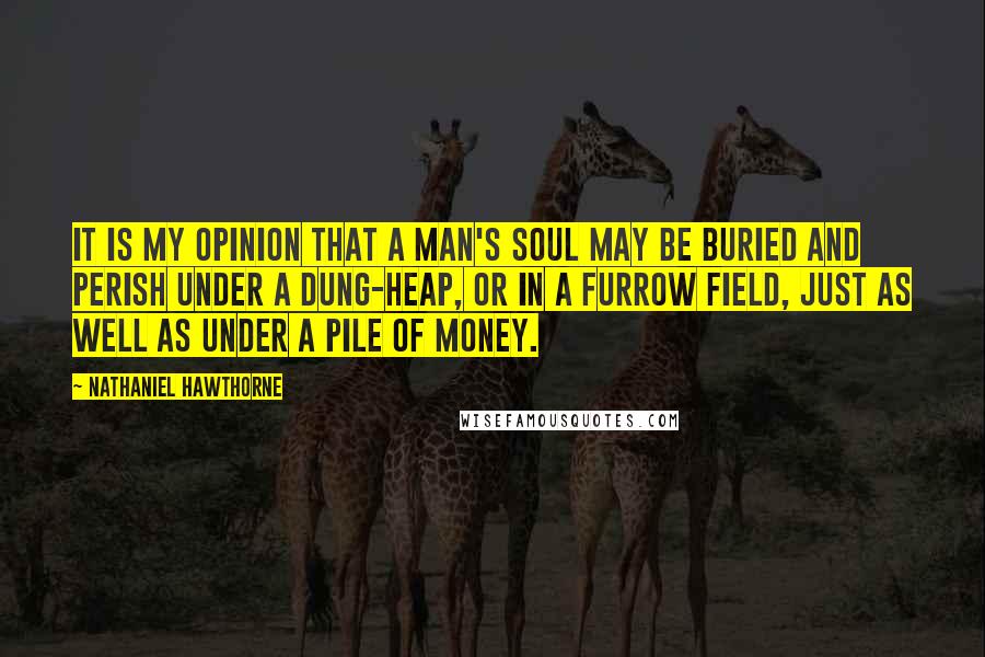 Nathaniel Hawthorne Quotes: It is my opinion that a man's soul may be buried and perish under a dung-heap, or in a furrow field, just as well as under a pile of money.