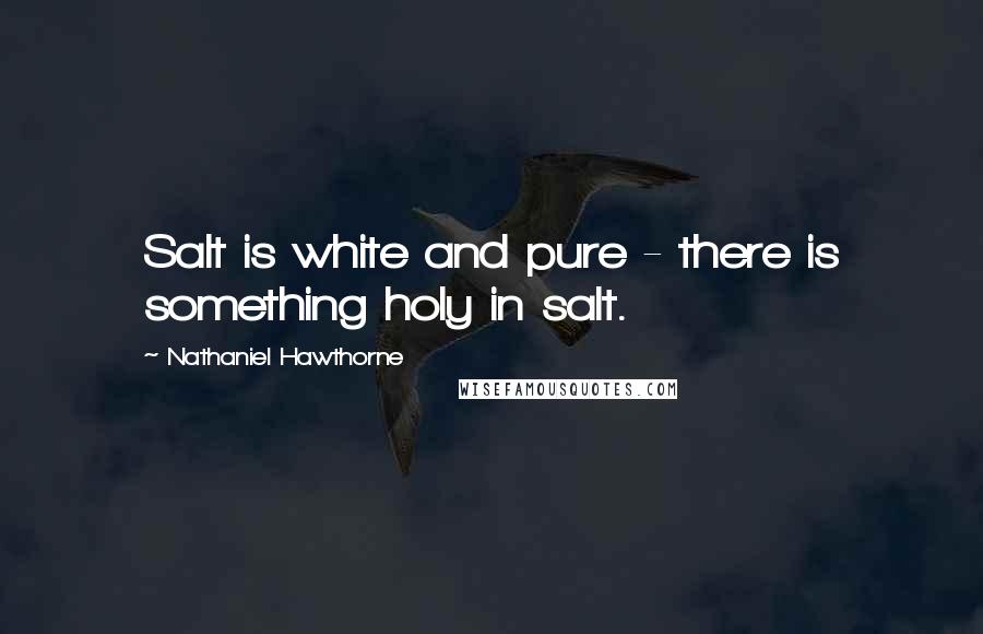 Nathaniel Hawthorne Quotes: Salt is white and pure - there is something holy in salt.