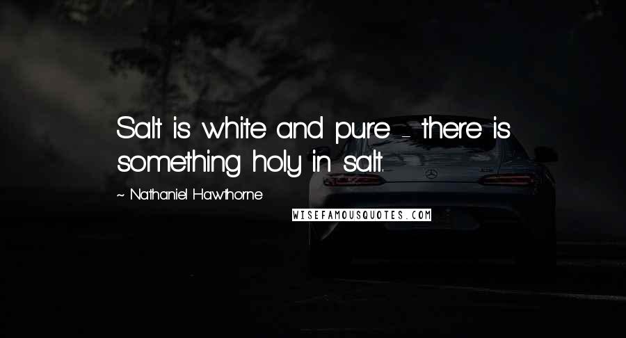 Nathaniel Hawthorne Quotes: Salt is white and pure - there is something holy in salt.