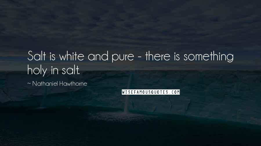 Nathaniel Hawthorne Quotes: Salt is white and pure - there is something holy in salt.