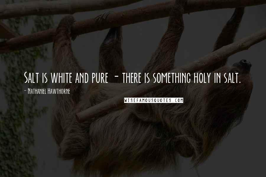 Nathaniel Hawthorne Quotes: Salt is white and pure - there is something holy in salt.