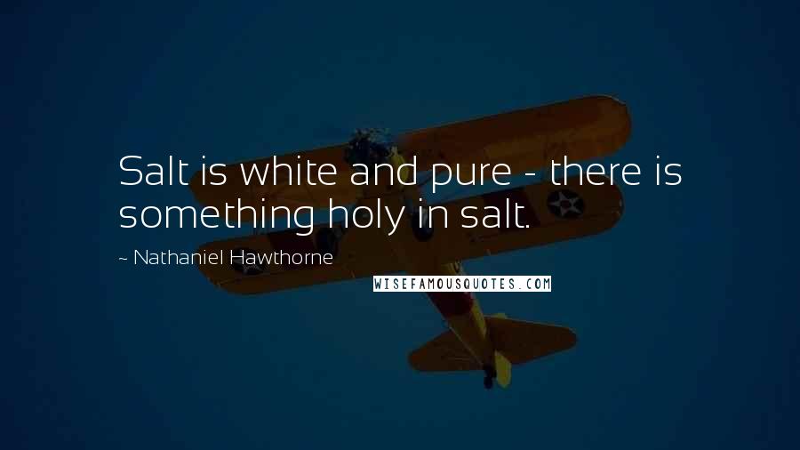 Nathaniel Hawthorne Quotes: Salt is white and pure - there is something holy in salt.