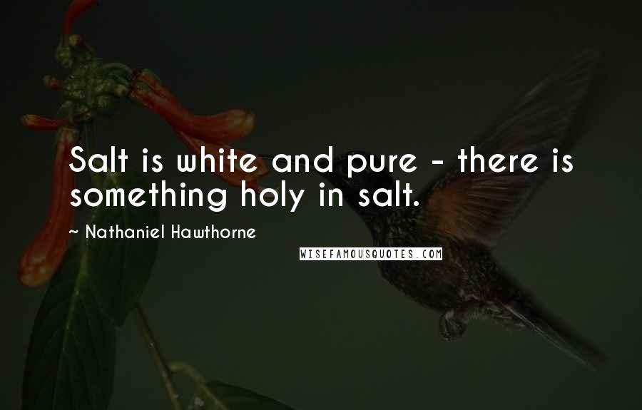 Nathaniel Hawthorne Quotes: Salt is white and pure - there is something holy in salt.