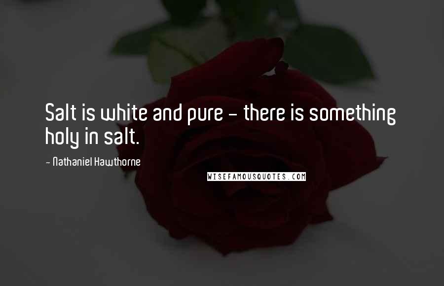 Nathaniel Hawthorne Quotes: Salt is white and pure - there is something holy in salt.